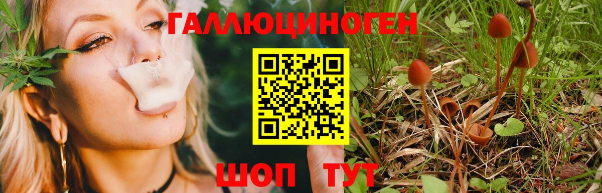 Галлюциногенные грибы ЛСД Жигулёвск